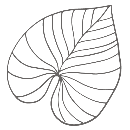 leaf